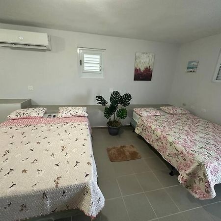 Oceanview 2 Apartment Guayama Bagian luar foto