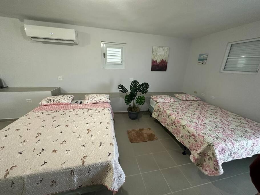 Oceanview 2 Apartment Guayama Bagian luar foto